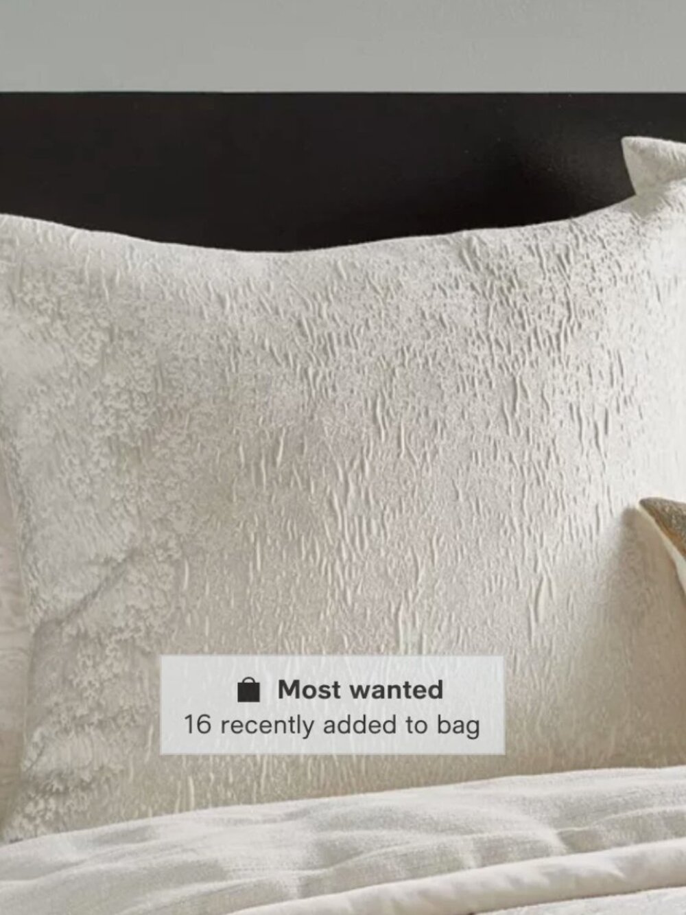 Donna Karan Home woven jacquard Seduction Euro Shams Ivory Set of 2 $400 New